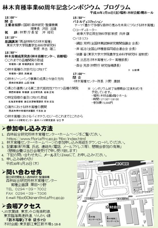 chirasi2