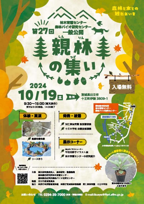 チラシ表