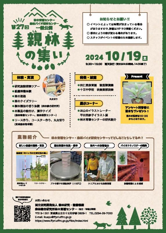 チラシ裏