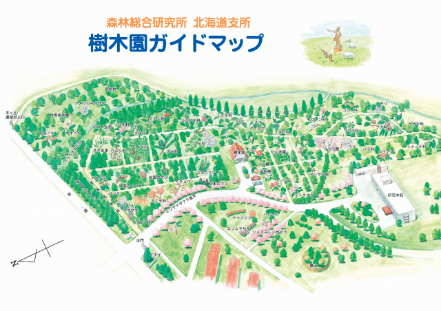 樹木園ガイド