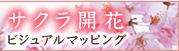 サクラ