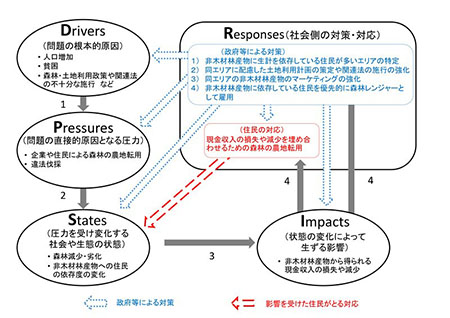 図：カンボジア・プレイロング地域の森林減少を助長する仕組み