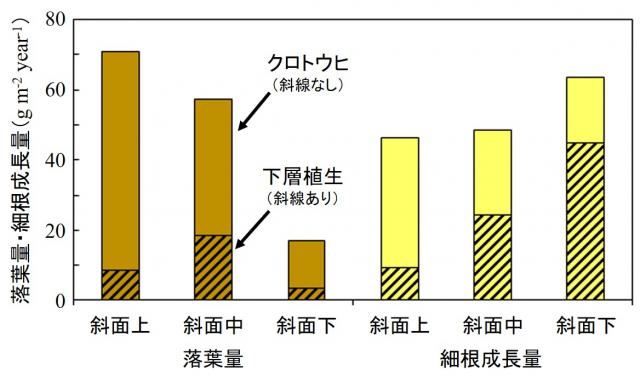 斜面下部に行くほど落葉量が減少し、細根成長量が増加することを示す図。斜面下部では下層植生の細根成長量がクロトウヒよりも大きくなることが分かる。