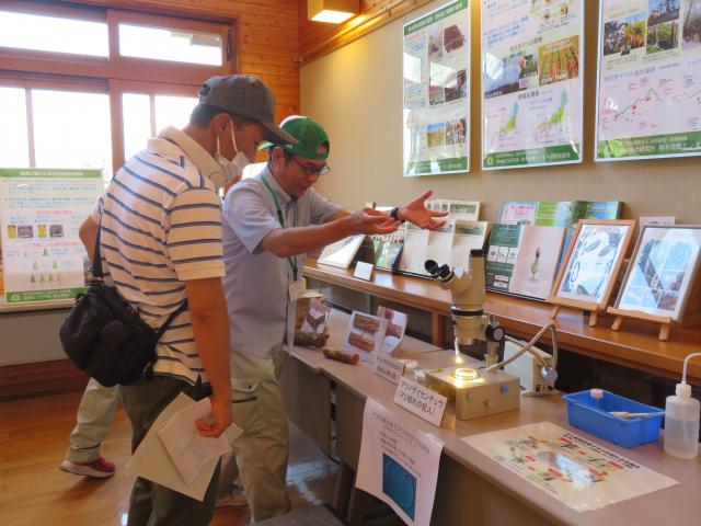 ザイセンチュウ展示