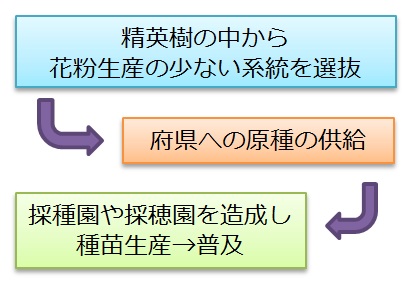 選抜し供給から普及