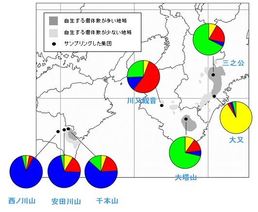 地域間で異なる遺伝的構成