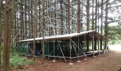 スギ成木の乾燥実験