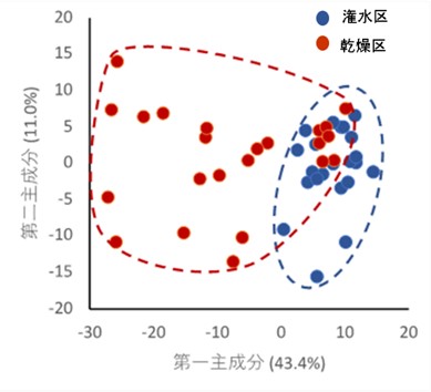 図2 潅水区と乾燥区における遺伝子発現の全体の傾向
