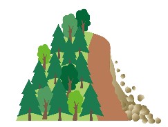 立木のない山では土砂流出・崩壊が起きている模式図