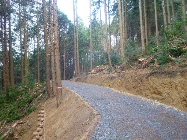 丸太組工法の作業道が林内に開設された写真
