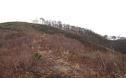 無立木地