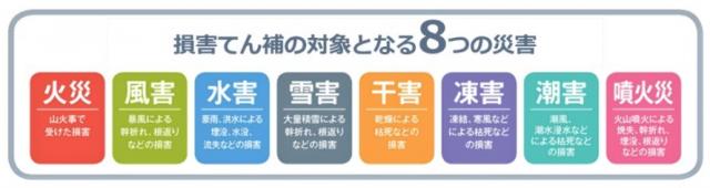 図 損害てん補の対象となる8つの災害