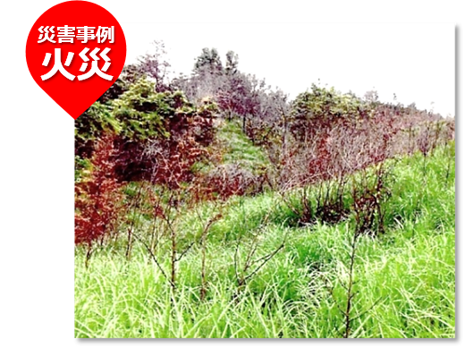 図 災害事例 火災