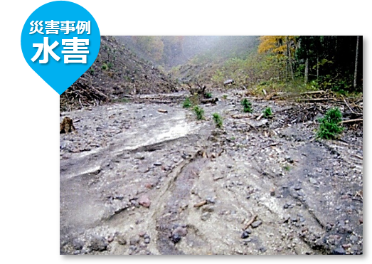 図 災害事例 水害