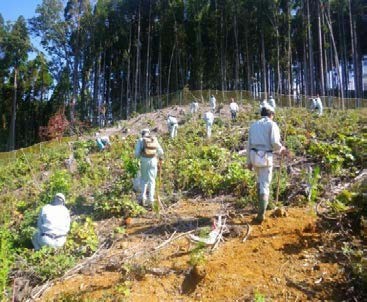 森林大学校生徒との共同植栽作業の様子