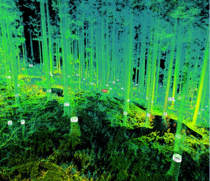 森林をレーザー計測する写真