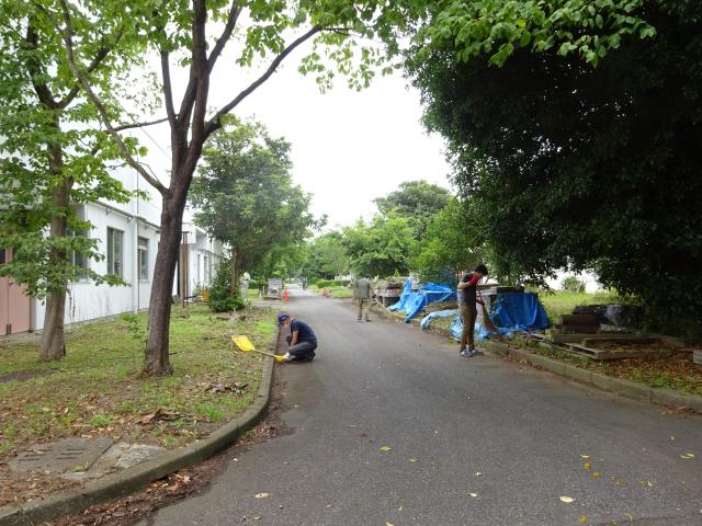 森林総合研究所（つくば市）構内での清掃の写真
