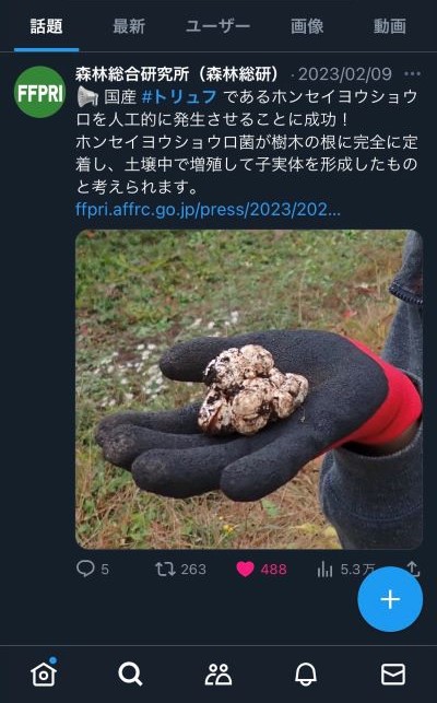 Xアカウントでのトリュフ紹介