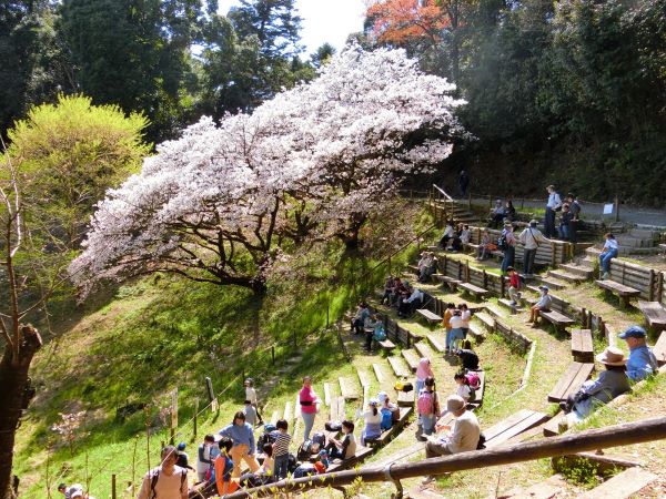 多摩森林科学園内で休憩する来園者の写真