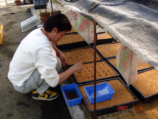 20070307_対馬_さしつけ