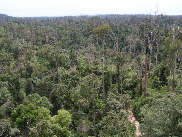 bukitsoeharto