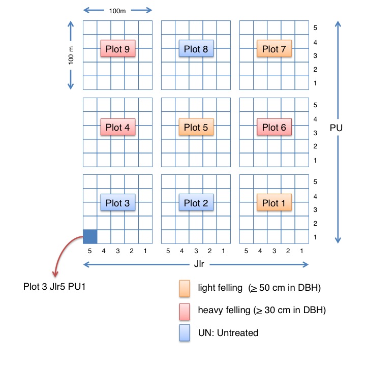 plot layouts
