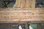 Photo:Close up of Full-sized T-shape Joint