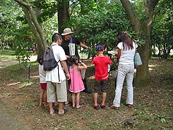 樹木博士2006-1