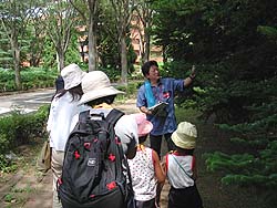樹木博士2006-2