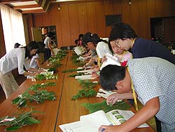 樹木博士2006-3