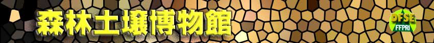 Xѓy딎
