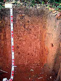 kanchanaburi MWRS soil