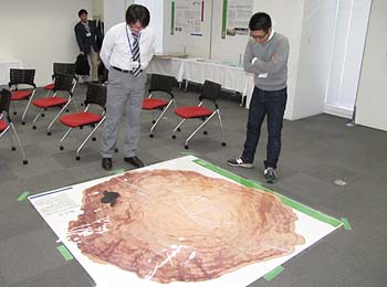 写真2：屋久杉の幹断面の実物大写真