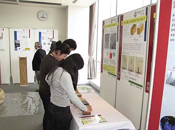 写真3：いろいろな木の比重の違いを手で持って実感してもらう展示1