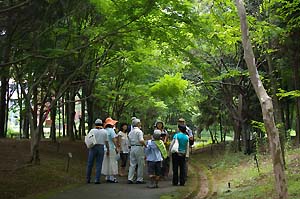 子ども樹木博士の様子：写真1