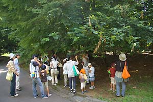 子ども樹木博士の様子：写真2