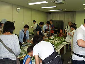 子ども樹木博士の様子：写真5
