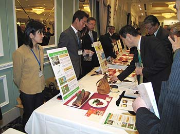 写真3：食材の展示・説明会場1