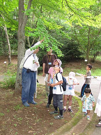 子ども樹木博士：写真3