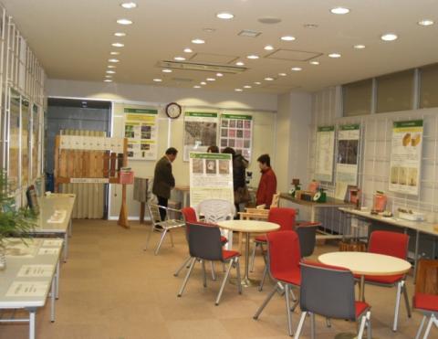 もりの展示ルーム