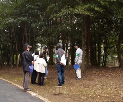 樹木園案内