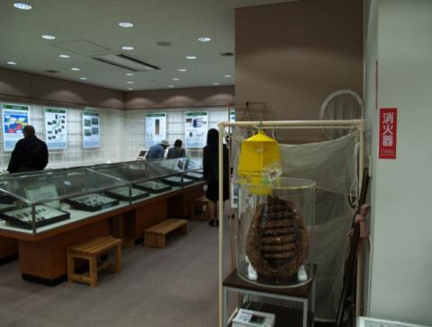 もりの展示ルーム