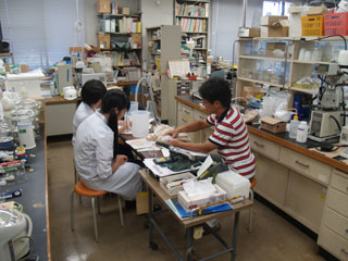 写真4