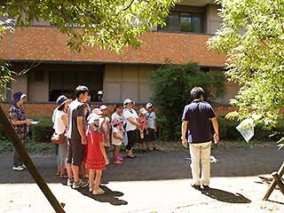 写真2：熱帯林を守る、温暖化を防ぐ