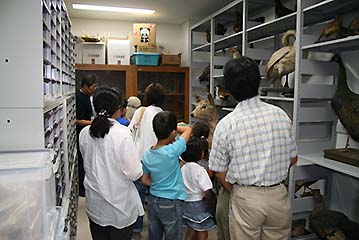 写真4：「標本室」をのぞいてみよう