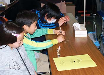 写真1：「うしくサイエンスフェスタ2013」会場の様子