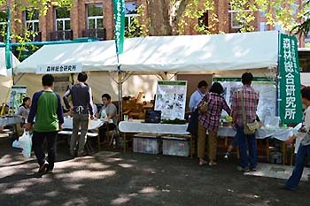 写真1：平成25年度「みどりとふれあうフェスティバル」に出展