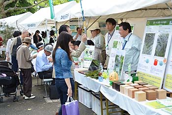 写真3：平成25年度「みどりとふれあうフェスティバル」に出展