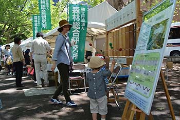 写真5：平成25年度「みどりとふれあうフェスティバル」に出展