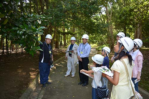 写真1：子ども樹木博士1